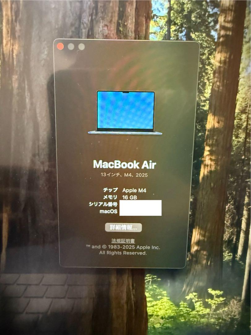 【早い者勝ち】Apple MacBook Air 16GB 256GB