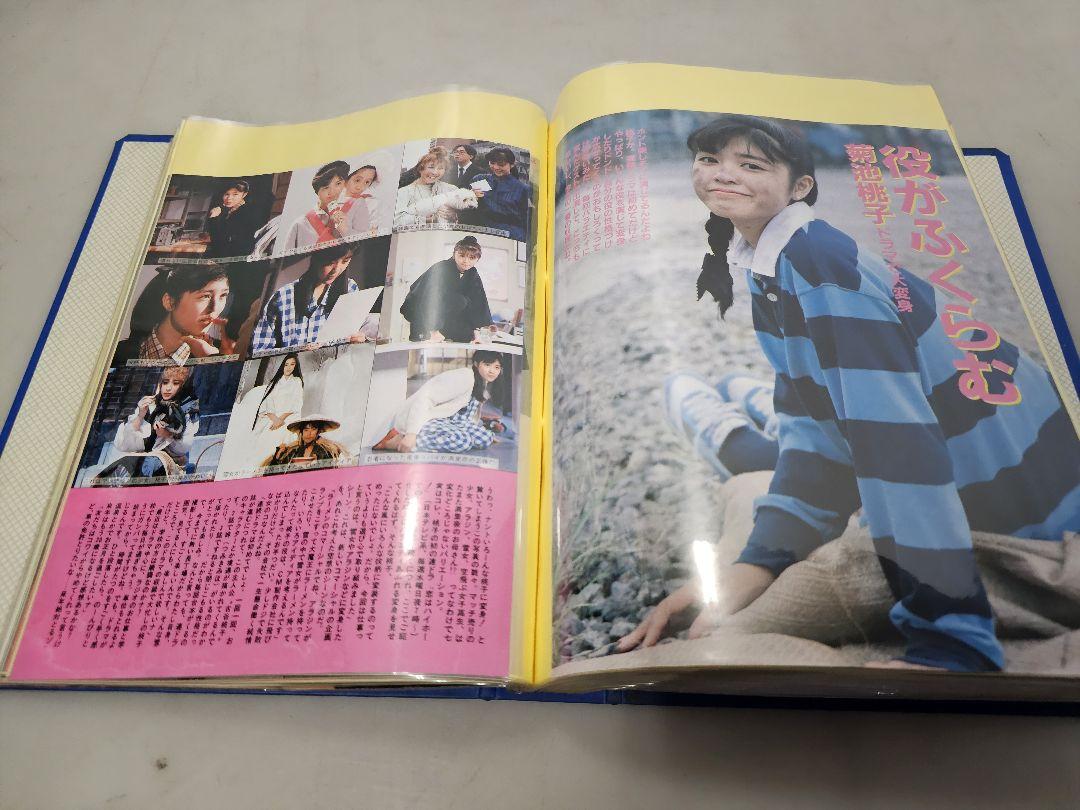 ③超美品！菊池桃子シリーズ 雑誌切り抜き ファイル綴じ 約370