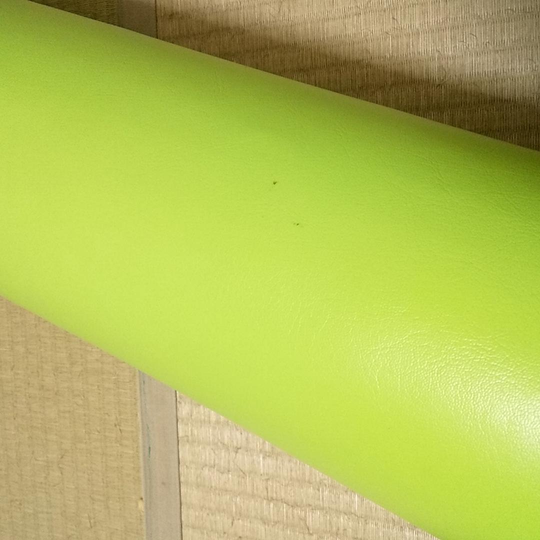 LPN Stretch Pole 　ストレッチポール EX ライトグリーン