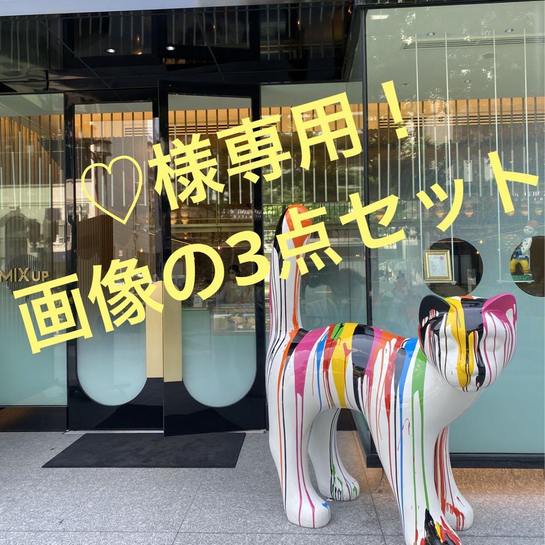 超人気新品 ♡様専用 画像の3点セット aislingsmith.com