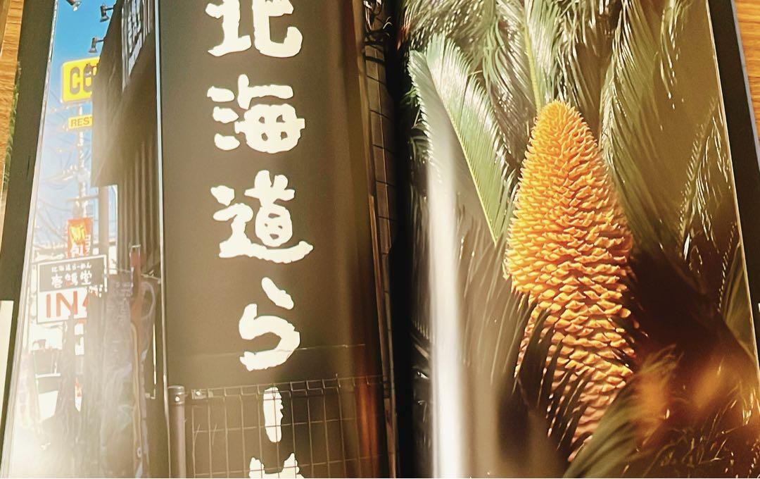 中平卓馬　Documentary