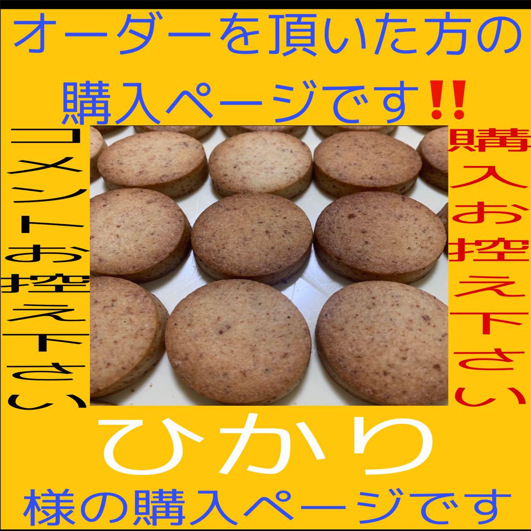 【ひかり様の購入商品です‼️】ガンサブレオーダーセット