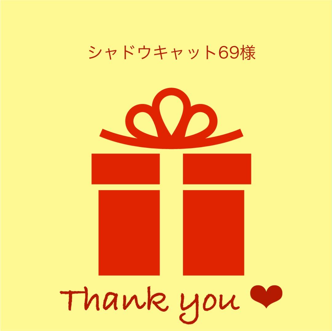 シャドウキャット69様専用 VICTORIA'S SECRET Select 割り引き