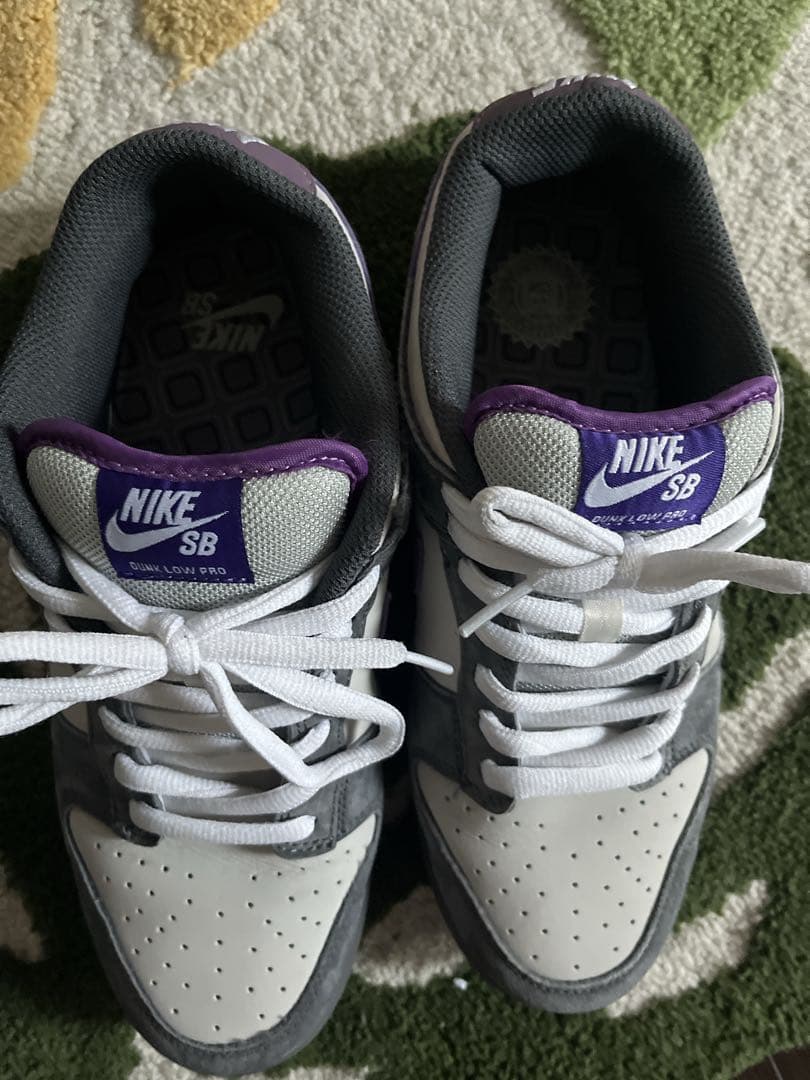 Nike SB Dunk Low Pro 