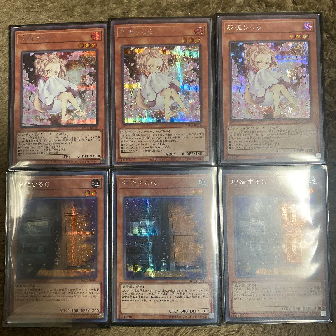 43%割引ブラウン系【高価値】 遊戯王 灰流うらら 増殖するG シークレットセット 絵違い 遊戯王 トレーディングカードブラウン系-BANGPLA.GO.TH 43%割引ブラウン系【高価値】 遊戯王 灰流うらら 増殖するG シークレットセット 絵違い 遊戯王 トレーディングカードブラウン系-BANGPLA.GO.TH