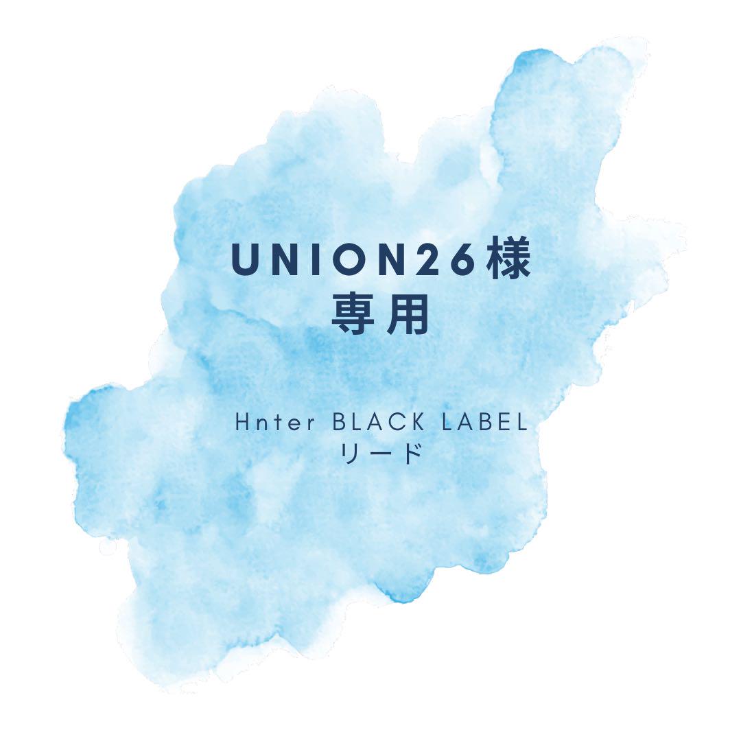 union 26様専用　Hunterハンタースワロフスキーレザーリード茶 犬用