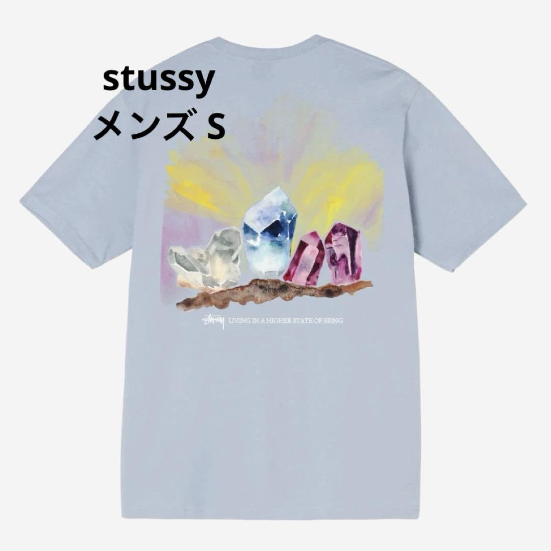【ステゥーシー】Tシャツ 水色 メンズS