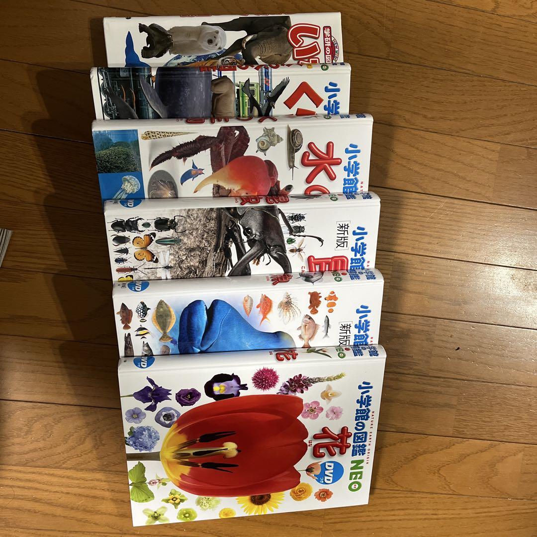 【開店記念セール！】 小学校の図鑑 メルカリ - 6冊セット DVD付 いちばん!の図鑑 NEO その他