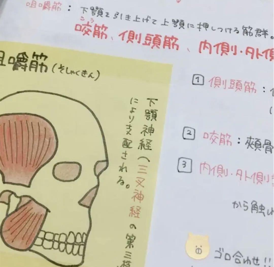 消化器　まとめノート　解剖生理学　看護師国家試験