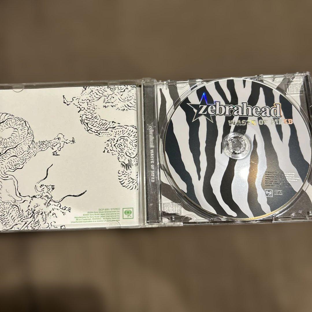 貴重 ゼブラヘッド【zebrahead】イエローアルバム インディーズ