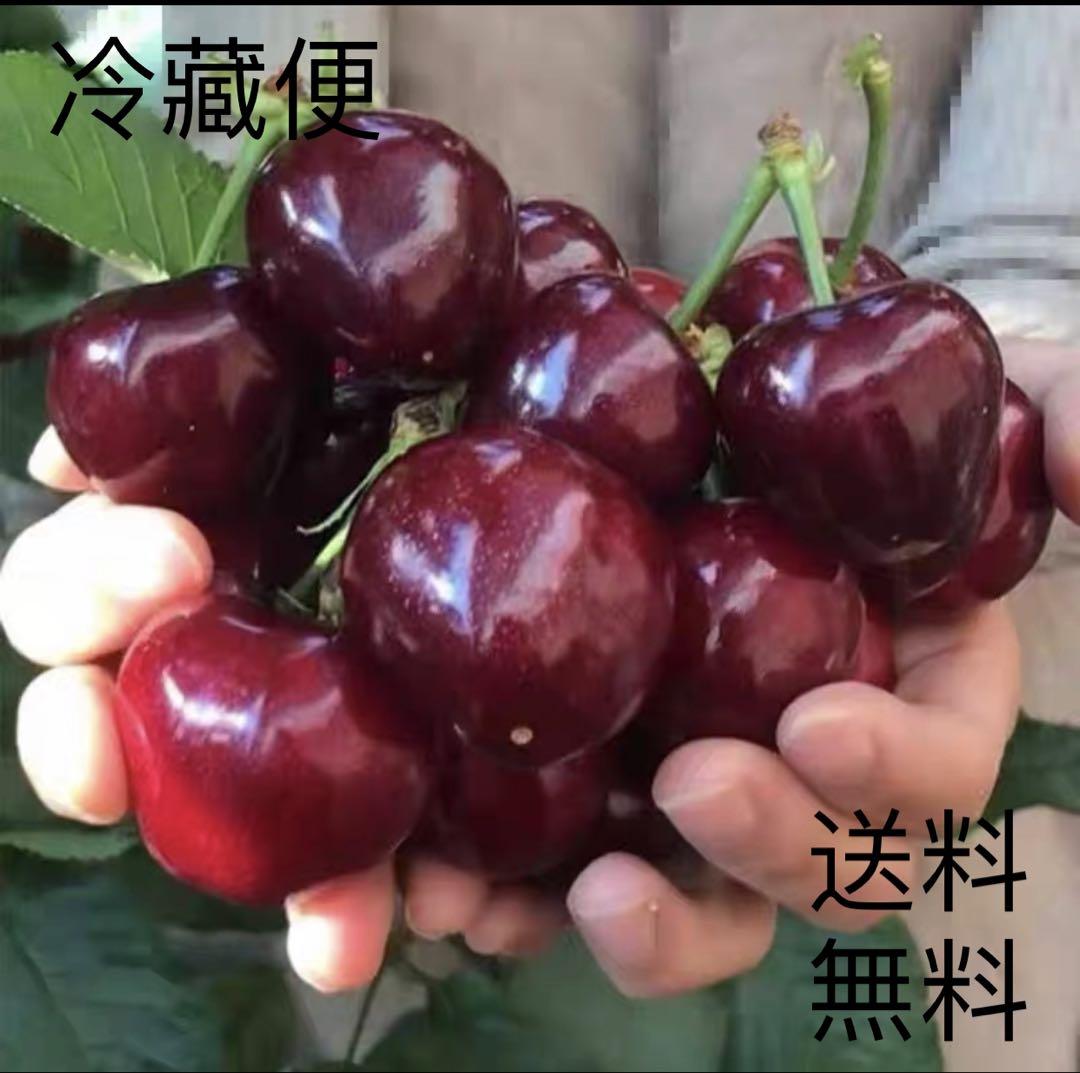 ❤️大人気❤️　アメリカンチェリー 贅沢大粒9.5Rサイズ 1000g（冷藏便）