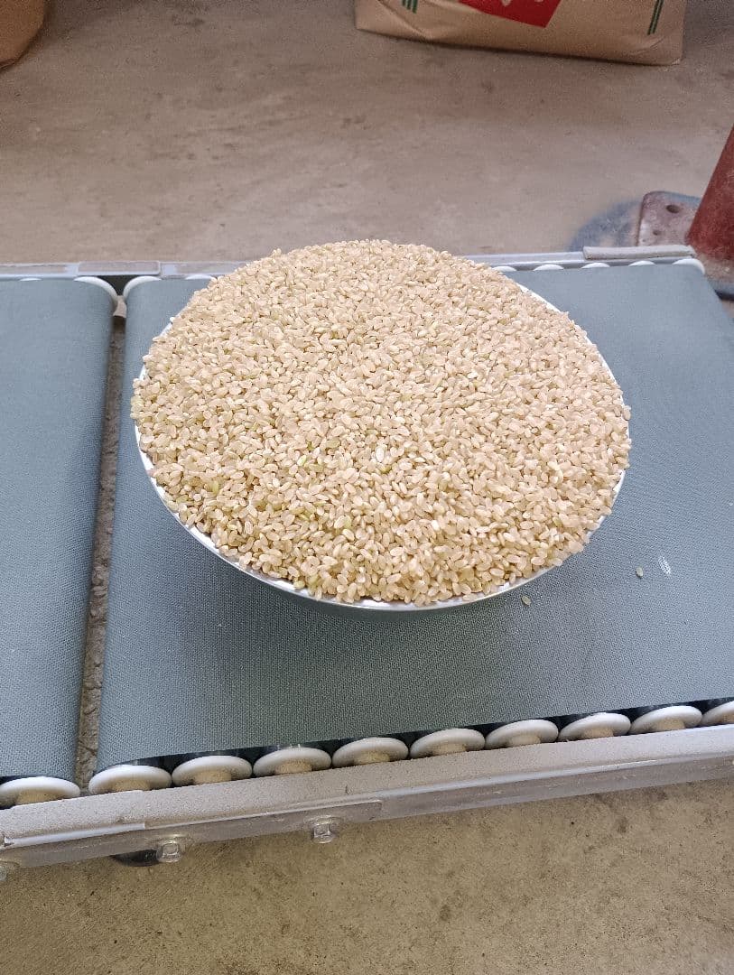 中米】送料込み 令和8年産 魚沼産コシヒカリ 玄米20kg - メルカリ
