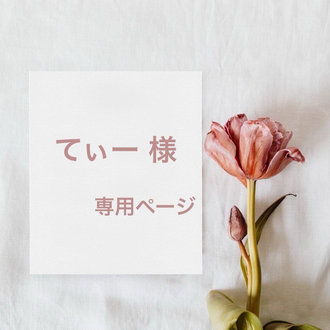 てぃー 様専用ページ