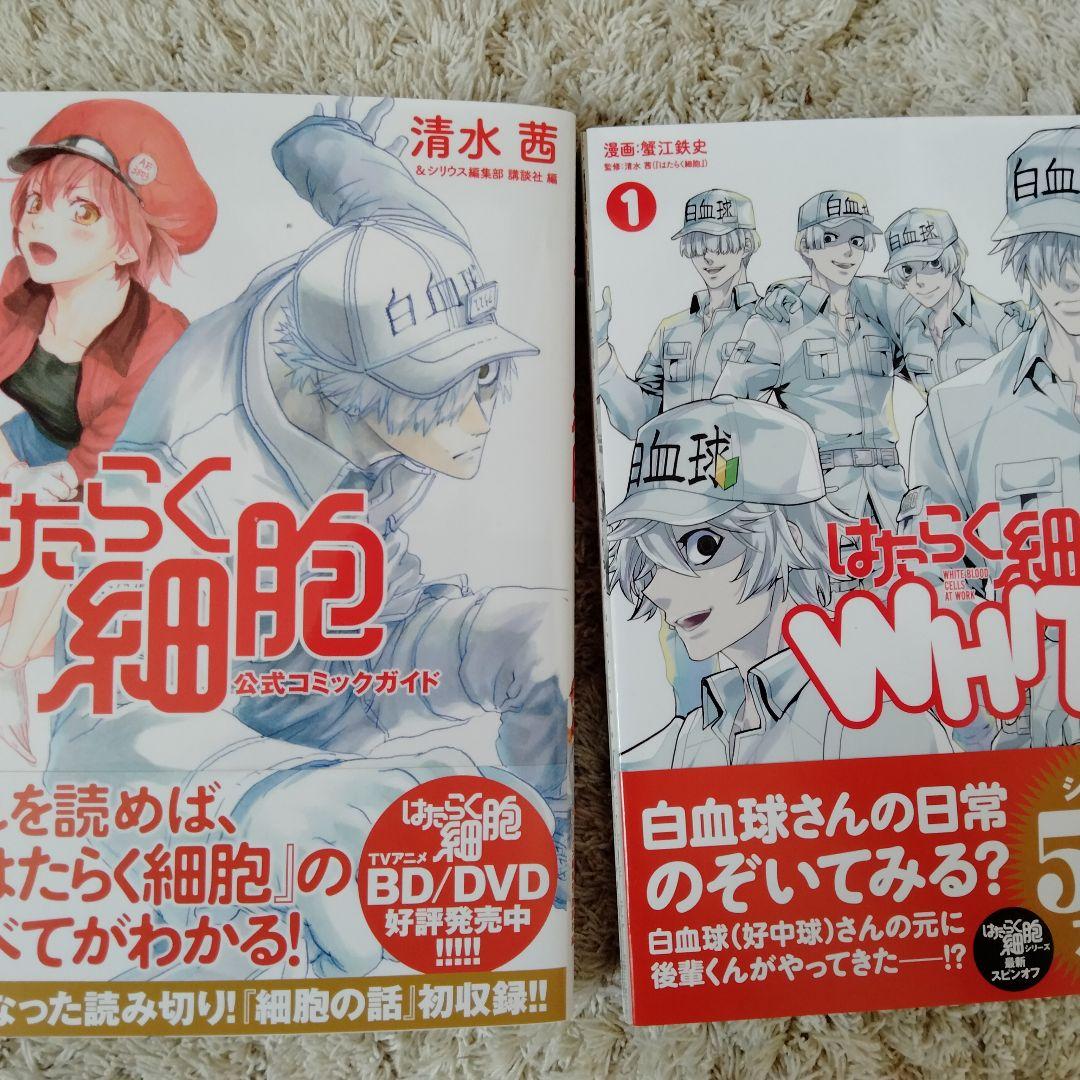 本物保証SALE みーまさん専用です 清水茜 46冊 4EtCY-m55728568937 働く細胞 豊富な即納