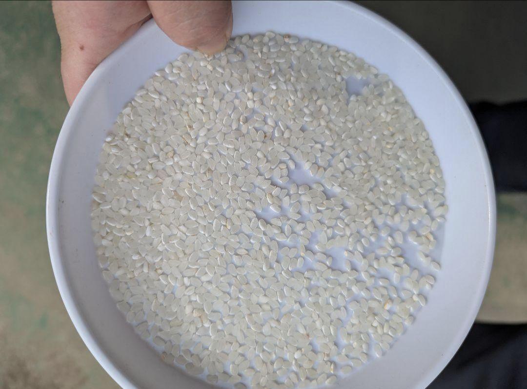 国内産ブレンド米　当店オリジナルブレンド米　10kg　生活応援米　複数原料米