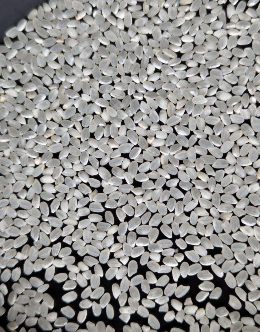 国内産ブレンド米　当店オリジナルブレンド米　10kg　生活応援米　複数原料米