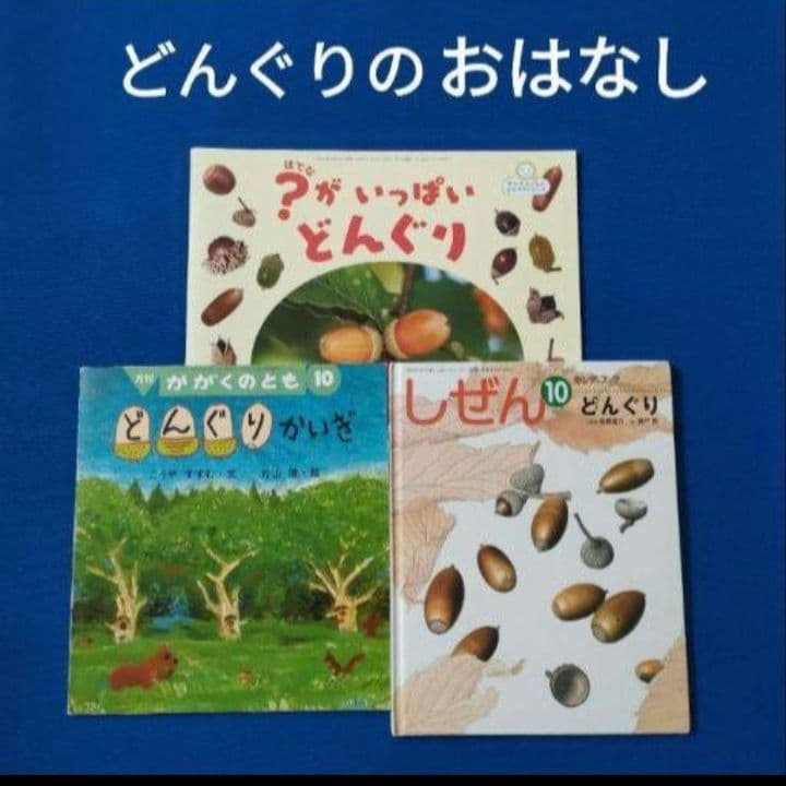 ビッグサイエンス　かがくのとも　キンダーブックしぜん　どんぐり　どんぐりかいぎ ビッグサイエンス かがくのとも キンダーブックしぜん どんぐり
