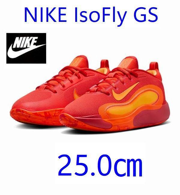 K新品 25.0㎝ ナイキ ISOFLY GS バスケットボール FN4384