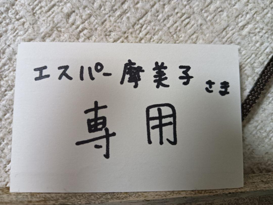 エスパー摩美子さま専用　Olive11冊