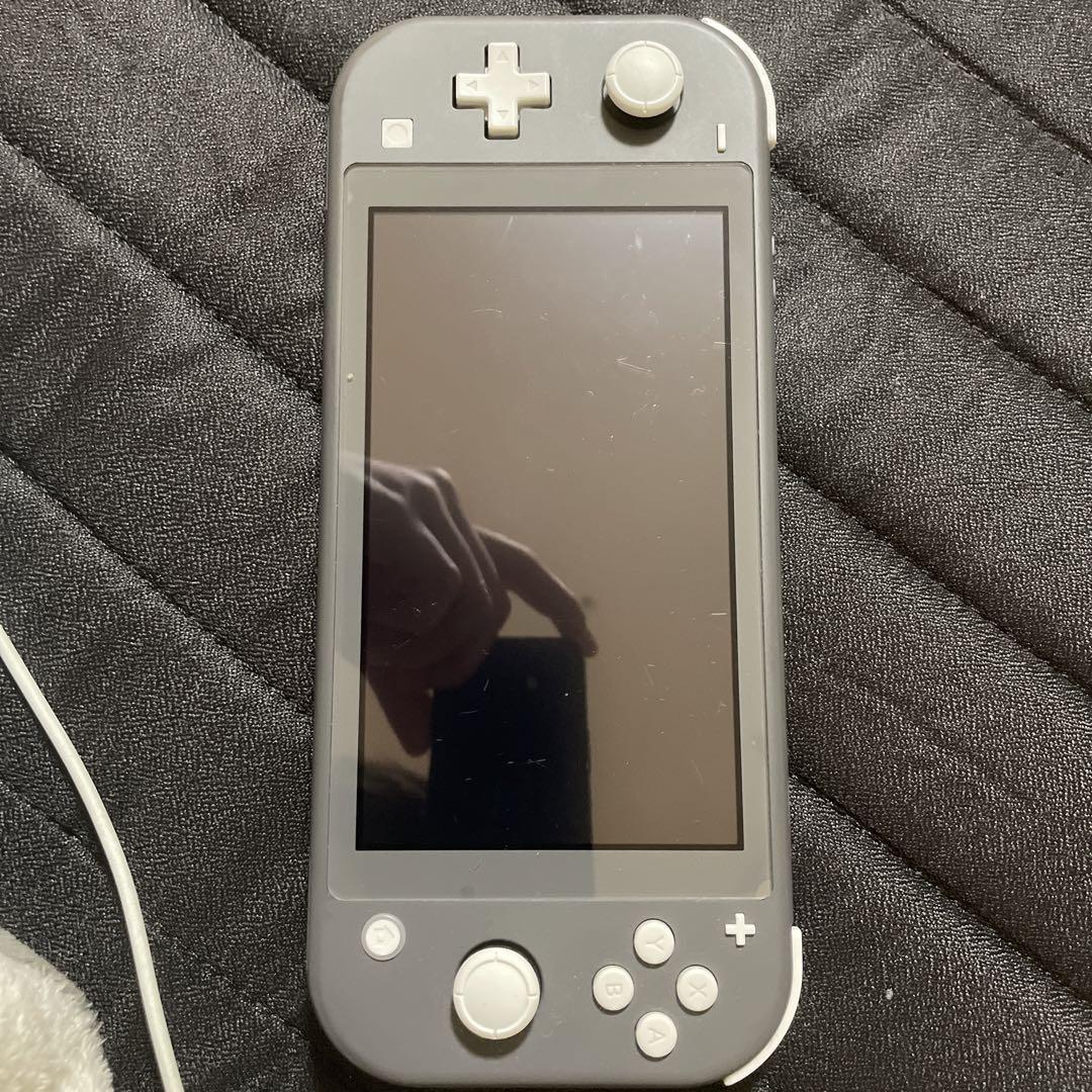 Switchライト ジャンク品