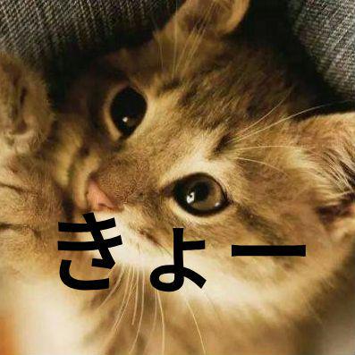 きょー