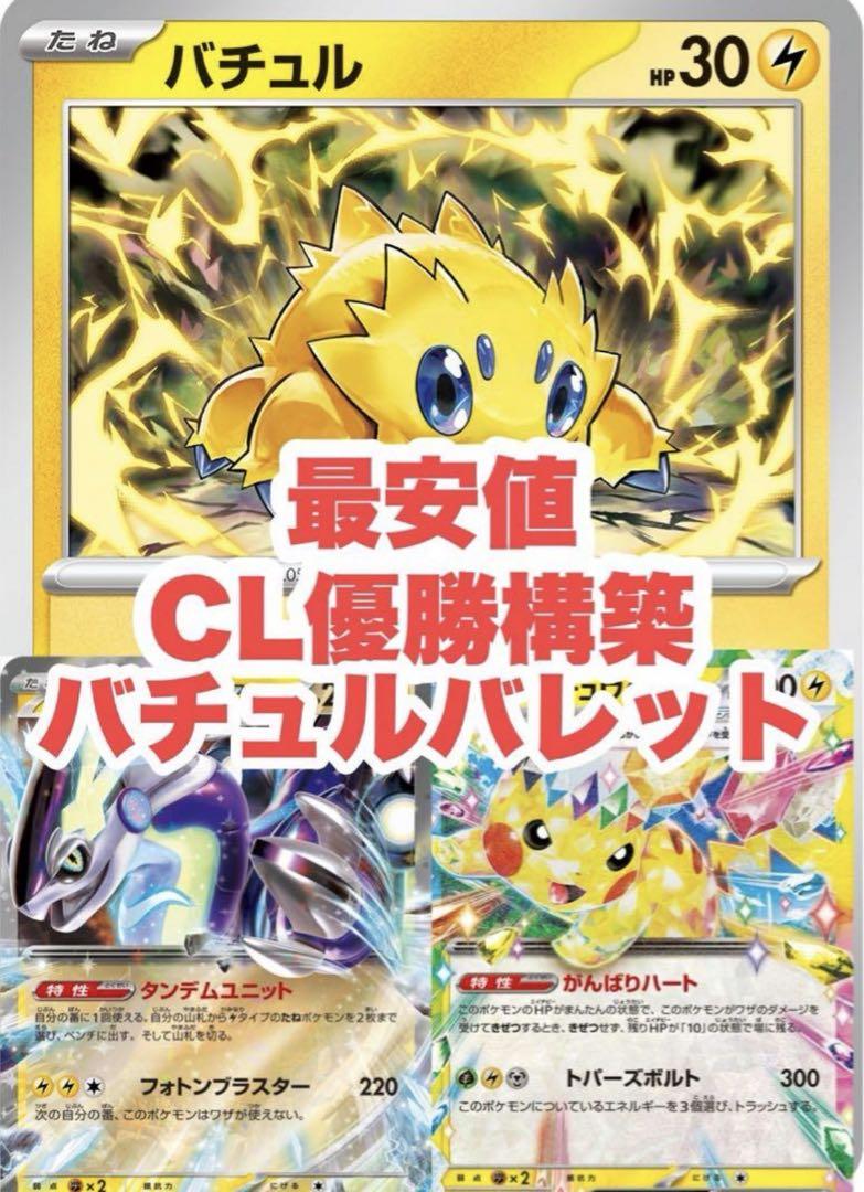 ペペロンチーノ様 リクエスト 2点 まとめ商品