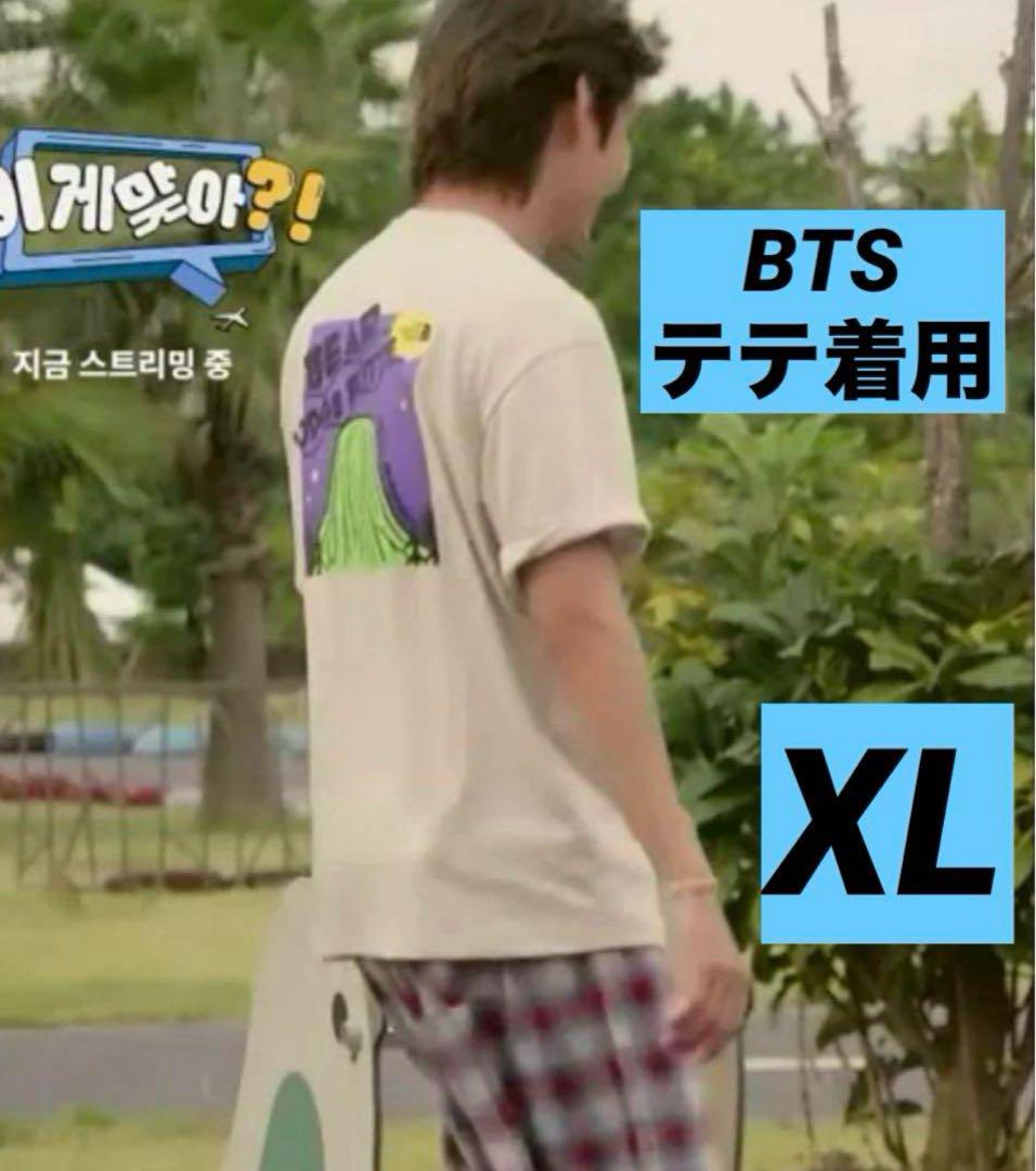 THE NORTH FACE - ノースフェイス 韓国限定 Tシャツ BTS テテ着用　V海外限定  Mサイズ 韓国限定 ノースフェイス Tシャツ BTS テテ着用 V 海外限定 XL