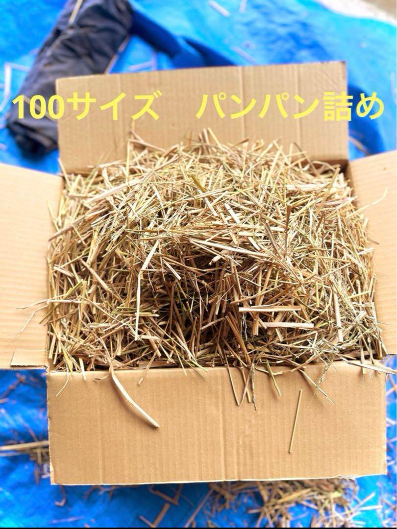 2024 収穫　わら　無肥料　無農薬　自然栽培 2024 収穫 わら 無肥料 無農薬 自然栽培 - メルカリ