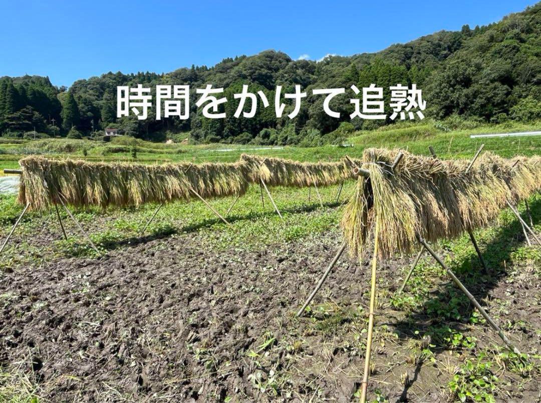 2024 収穫　わら　無肥料　無農薬　自然栽培 2024 収穫 わら 無肥料 無農薬 自然栽培 - メルカリ