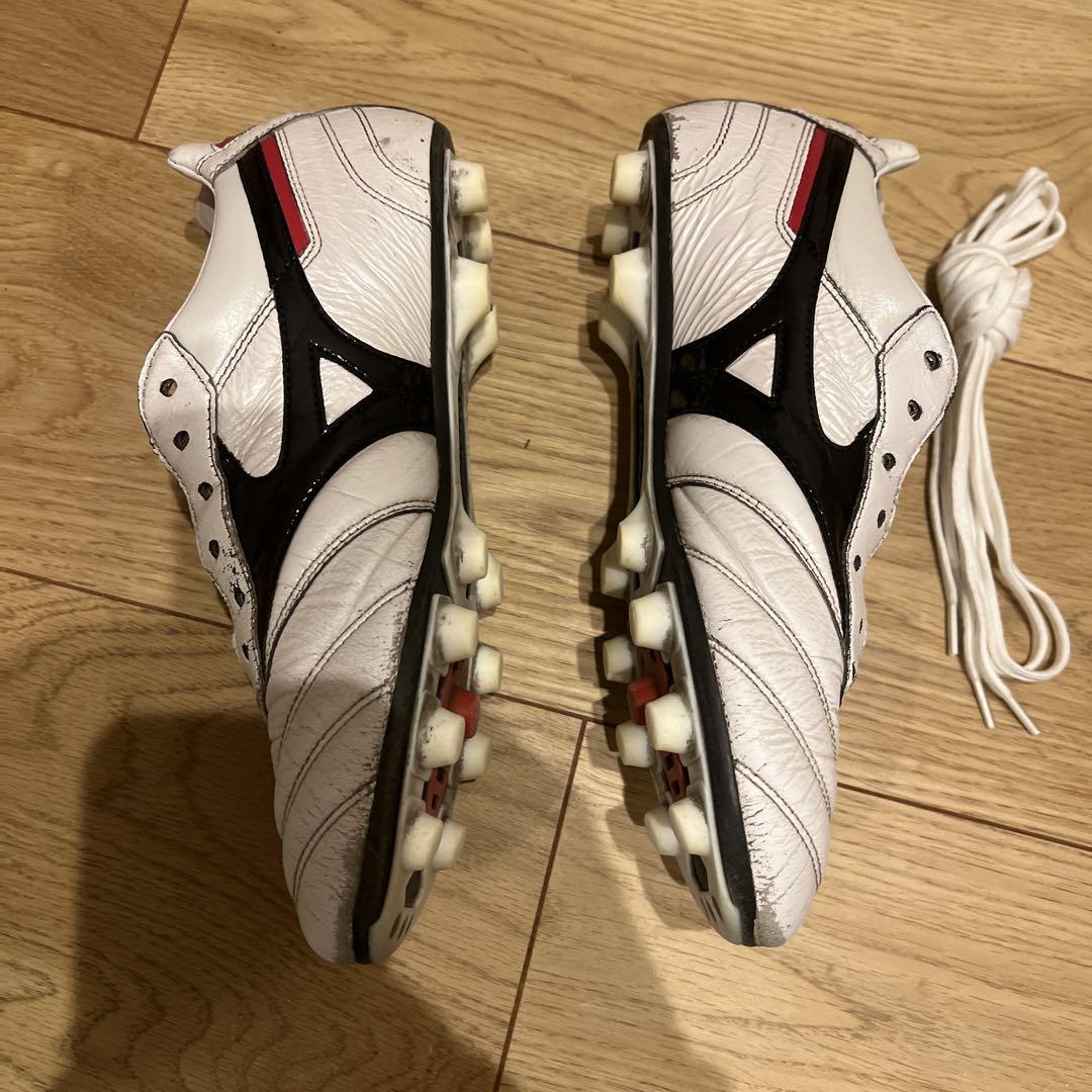 モレリア2JAPAN MORELIA 2 JAPAN 24.0