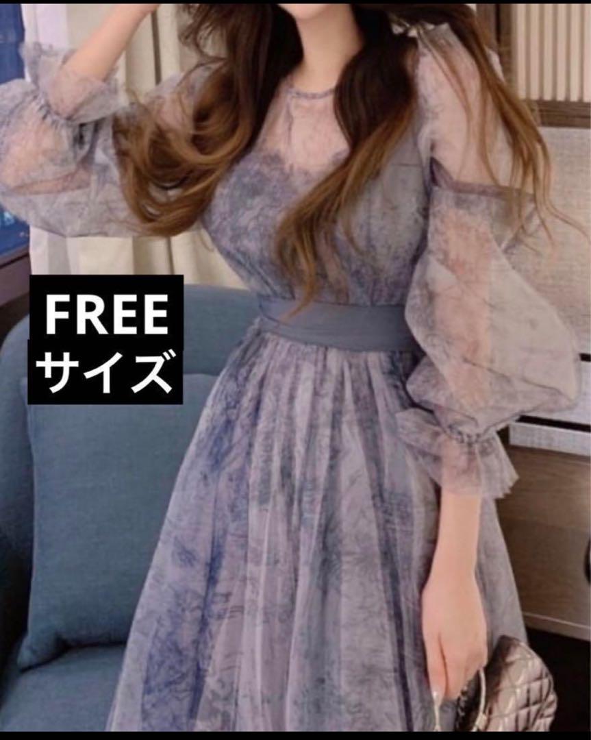 フローラルプリント シフォンパーティードレス FREEサイズ