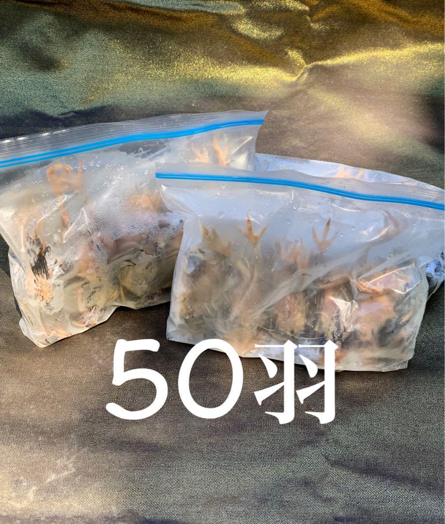 冷凍うずら（50羽）【送料込】