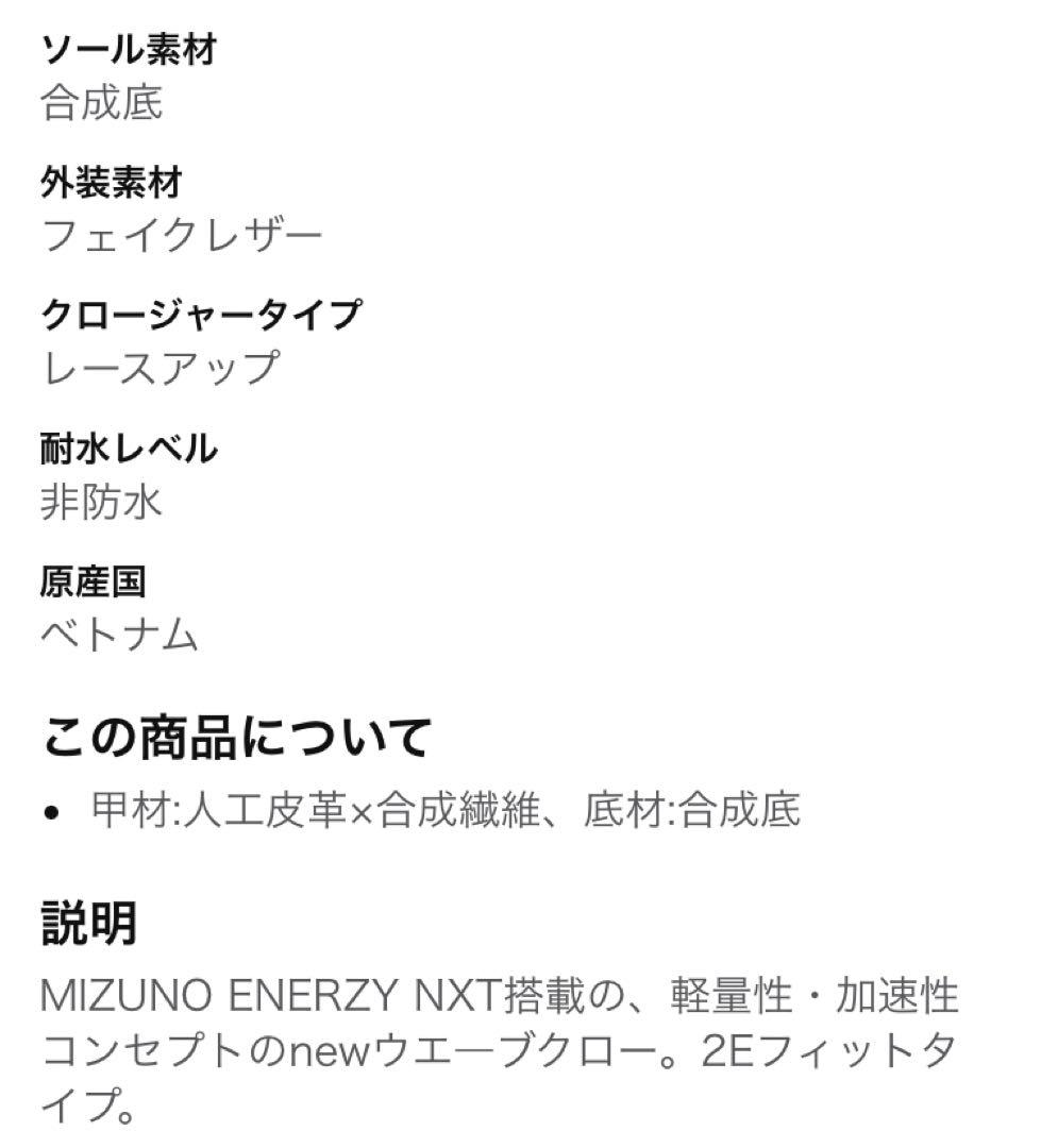 ミズノ　レディースバドミントンシューズ　2E
