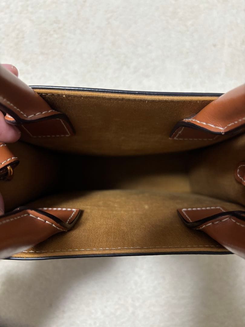 CELINE セリーヌ ミニ バーティカル トリオンフ キャンバス カバ CELINE セリーヌ ミニ バーティカル トリオンフ キャンバス カバ