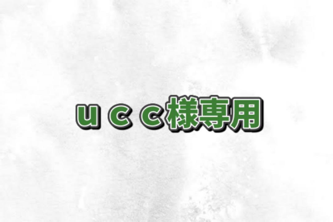ｕｃｃバートル2025年24Vメタリックレッドバッテリー2個&ザックファン