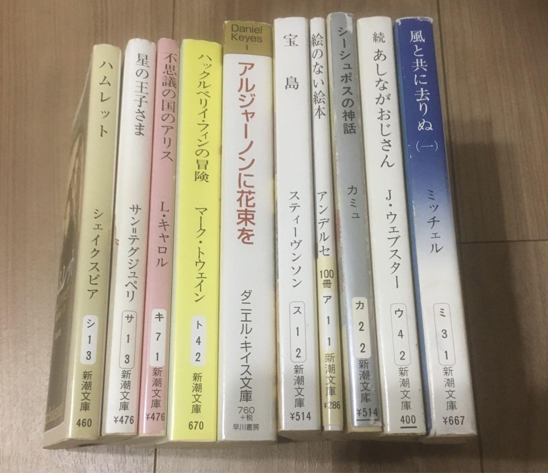 文庫本 小説 10冊 セット まとめ売り 海外小説 海外文学 純文学 文庫本 小説 10冊 セット まとめ売り 海外小説 海外文学 純文学