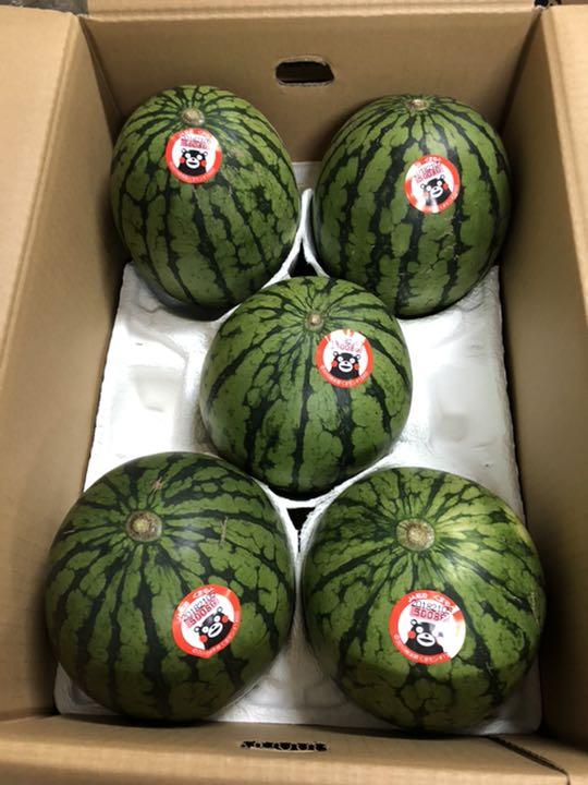安い特売中 熊本県 小玉スイカ5玉入り 箱込み約10kg 安い直販店|その他,食品 - dcwaindefla.dz 安い特売中 熊本県 小玉スイカ5玉入り 箱込み約10kg 安い直販店|その他,食品 - dcwaindefla.dz