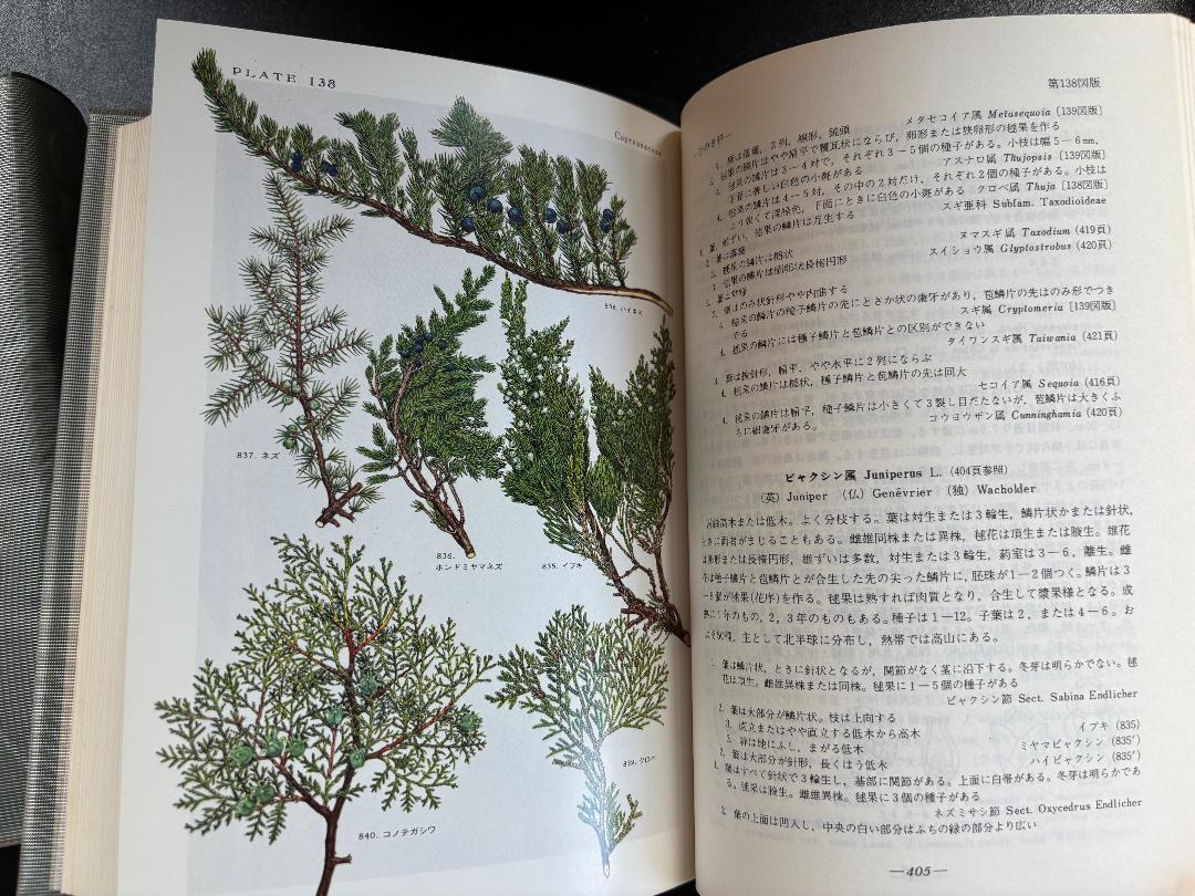 原色牧野日本植物図鑑 (1985年) |本 | 通販 | Amazon