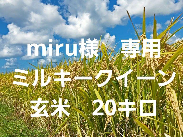 miru 様　専用　ミルキークイーン20