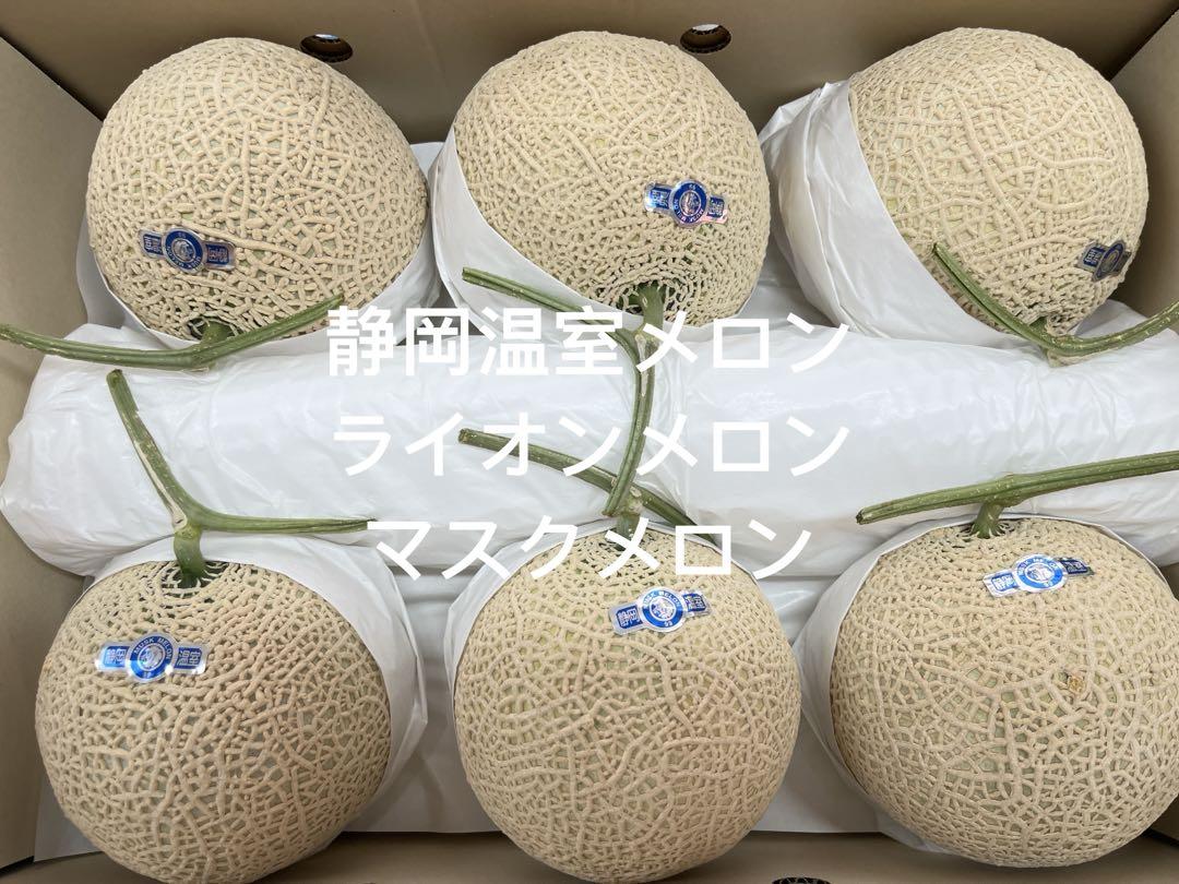 ライオンメロン　マスクメロン　高級メロン　温室メロン　アールスメロン　メロン ライオンメロン マスクメロン 高級メロン 温室メロン