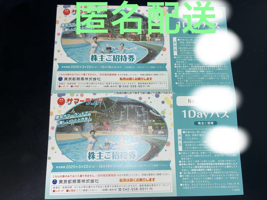 東京サマーランド 1Dayパス 株主ご招待券 株主優待券　2枚