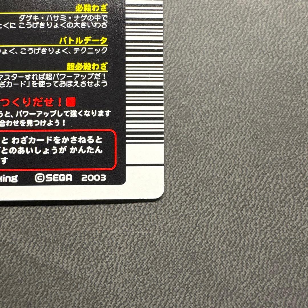 2003春 夏