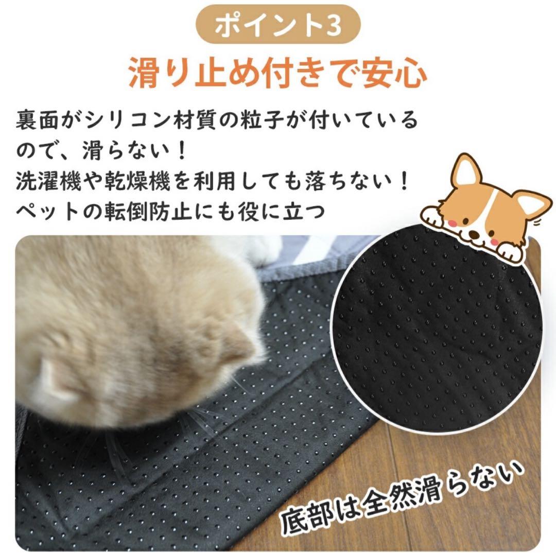 ペット