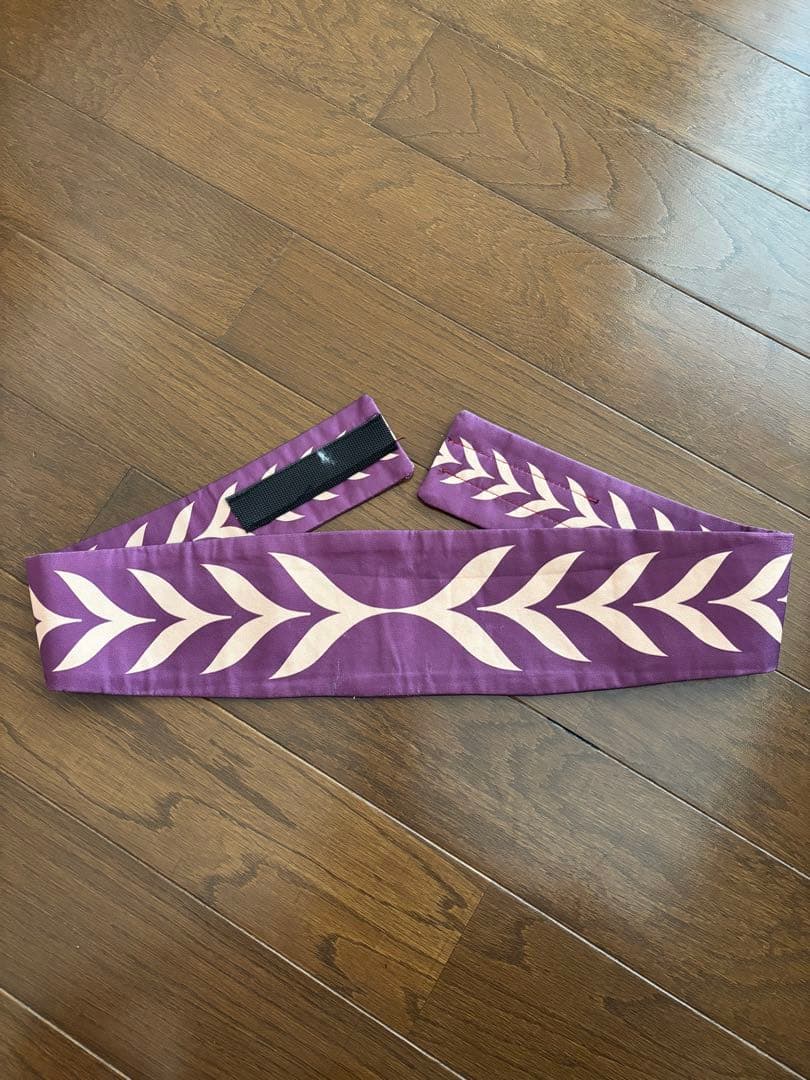 ディズニー アナと雪の女王 アナ コスプレ衣装 ハーベスト 収穫祭 ディズニー アナと雪の女王 アナ コスプレ衣装 ハーベスト 収穫祭