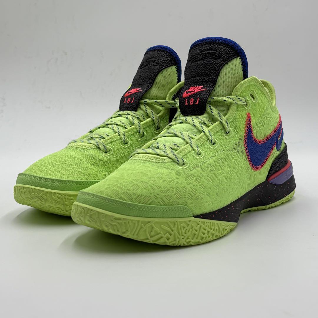 極美品 NIKE ZOOM LEBRON NXXT GEN EP 27cm