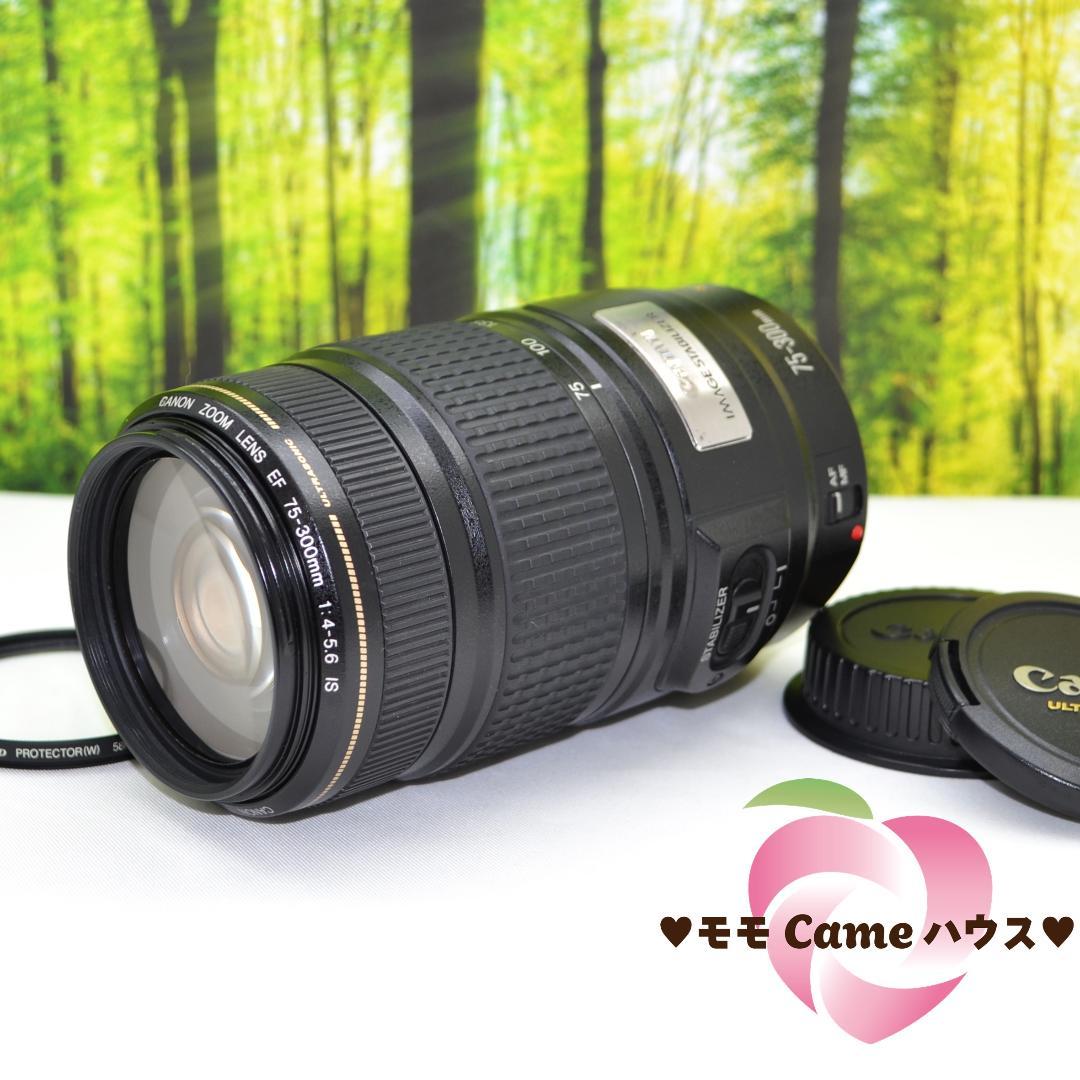 魅力の キャノン 手ぶれ補正付き Canon EF 75-300㎜ IS - レンズ(ズーム) - www.smithsfalls.ca 魅力の キャノン 手ぶれ補正付き Canon EF 75-300㎜ IS - レンズ(ズーム) - www.smithsfalls.ca