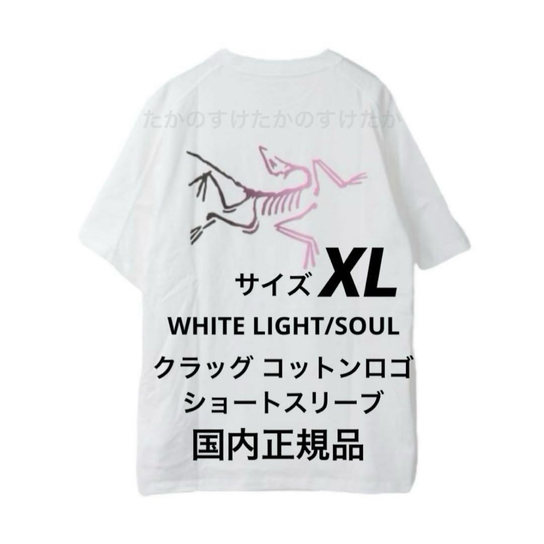 新作モデル アークテリクス クラッグコットンショートスリーブ カラーW/L/S①