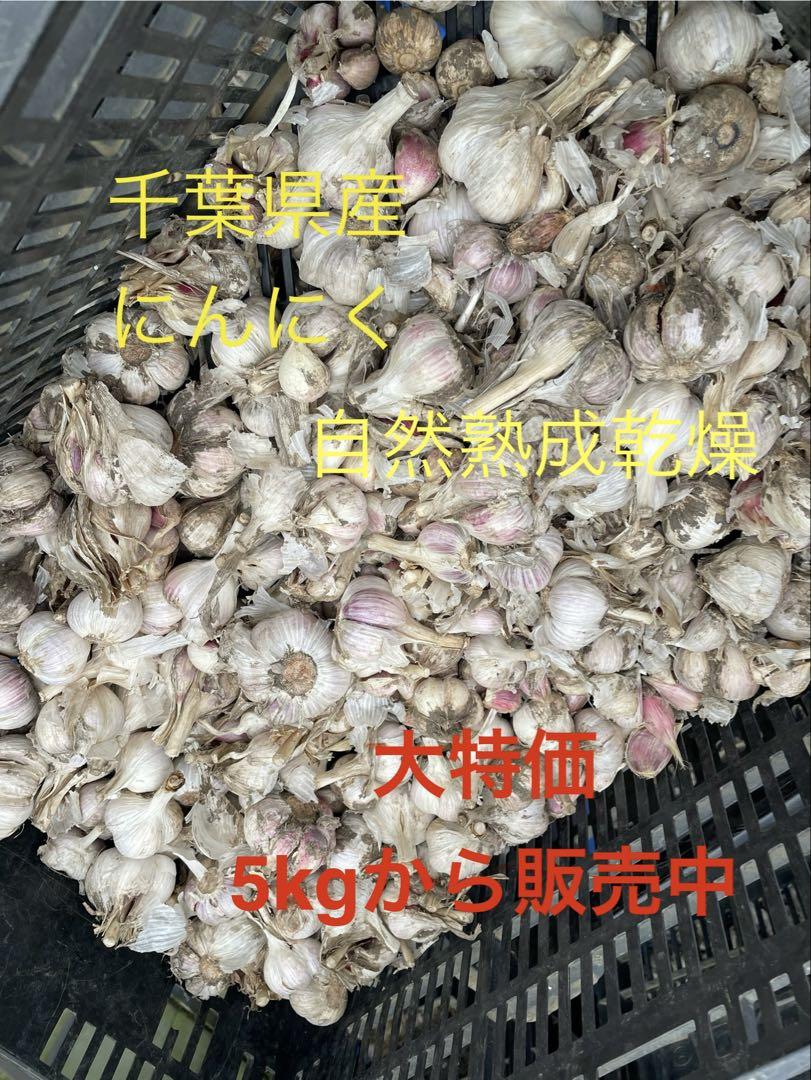 千葉県産　にんにく　20キロ