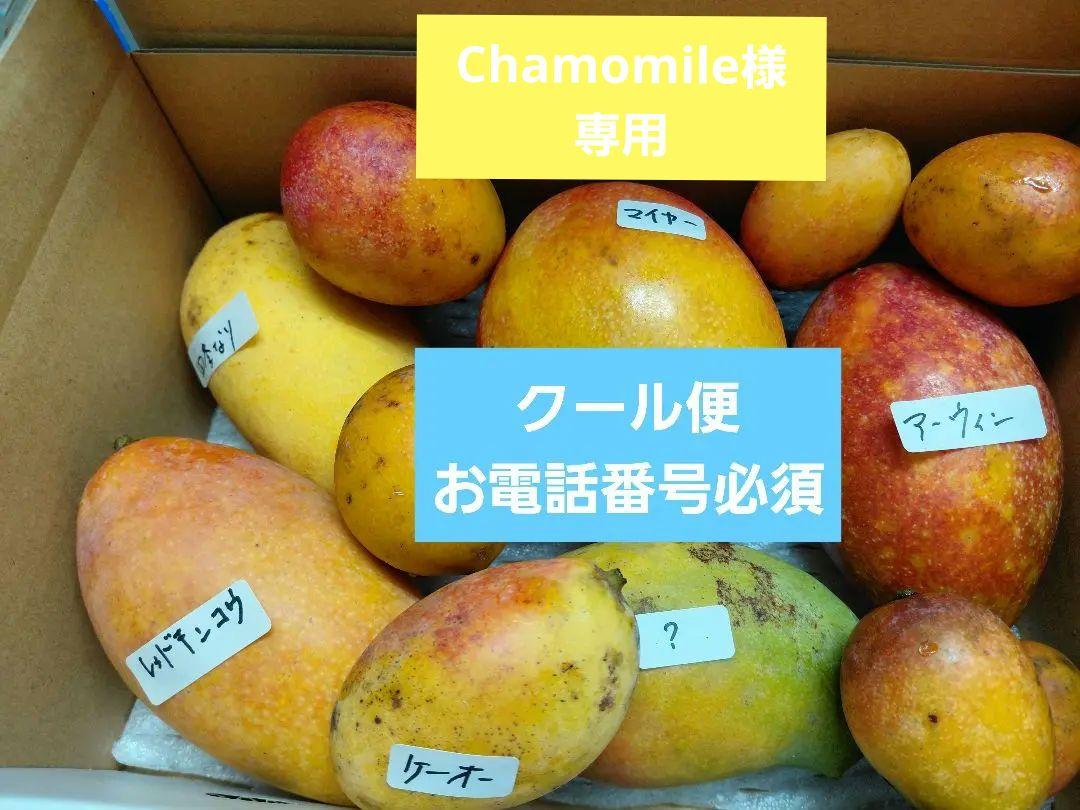 色々マンゴー食べ比べセット　C & ちょいと訳あり完熟マンゴー