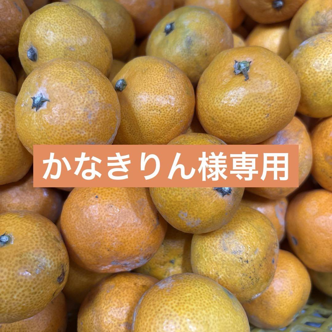 茶ッピさま専用 菊芋 サンフラワーポテト 10キロ